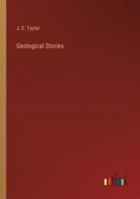 bokomslag Geological Stories