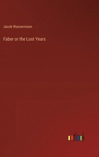 bokomslag Faber or the Lost Years