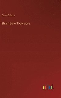 bokomslag Steam Boiler Explosions