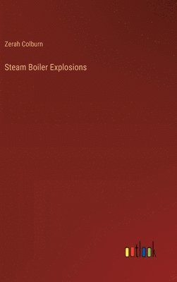 bokomslag Steam Boiler Explosions