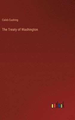 bokomslag The Treaty of Washington