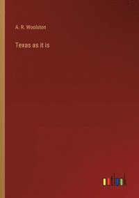 bokomslag Texas as it is