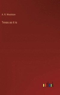 bokomslag Texas as it is