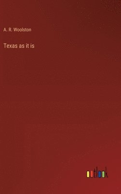 bokomslag Texas as it is