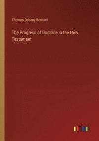 bokomslag The Progress of Doctrine in the New Testament