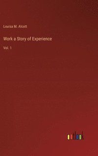 bokomslag Work a Story of Experience
