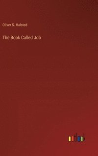 bokomslag Book Called Job