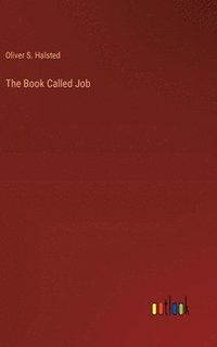 bokomslag The Book Called Job