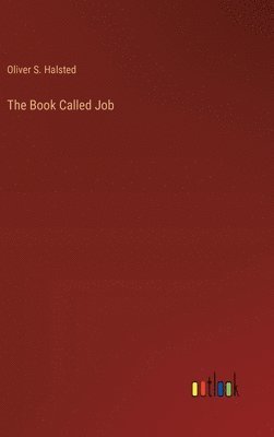 bokomslag Book Called Job