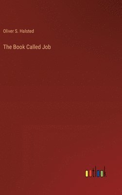 bokomslag The Book Called Job