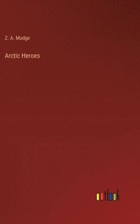 bokomslag Arctic Heroes
