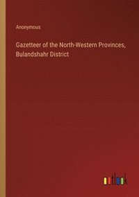 bokomslag Gazetteer of the North-Western Provinces, Bulandshahr District