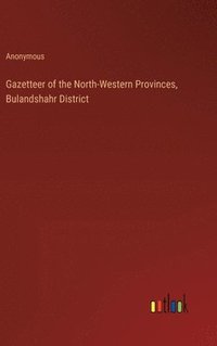 bokomslag Gazetteer of the North-Western Provinces, Bulandshahr District