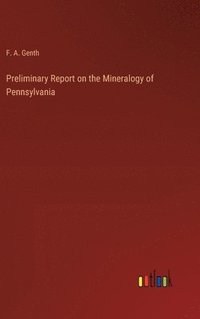bokomslag Preliminary Report on the Mineralogy of Pennsylvania
