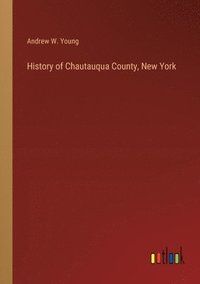 bokomslag History of Chautauqua County, New York