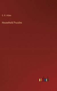 bokomslag Household Puzzles