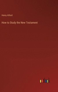 bokomslag How to Study the New Testament