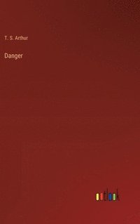 bokomslag Danger