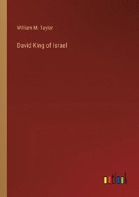 bokomslag David King of Israel