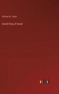 bokomslag David King of Israel