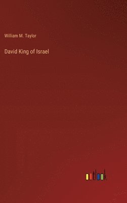 bokomslag David King of Israel