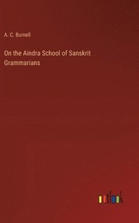 bokomslag On the Aindra School of Sanskrit Grammarians
