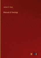 bokomslag Manual of Geology