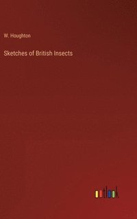 bokomslag Sketches of British Insects