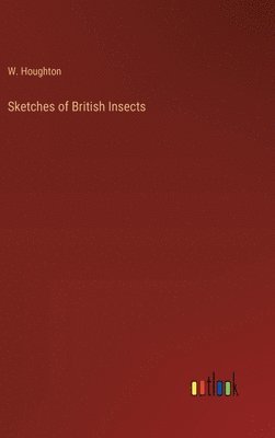 bokomslag Sketches of British Insects