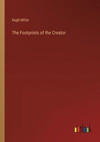 bokomslag Footprints of the Creator