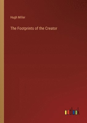 bokomslag Footprints of the Creator
