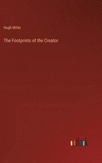 bokomslag Footprints of the Creator