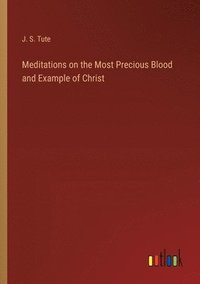 bokomslag Meditations on the Most Precious Blood and Example of Christ