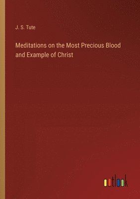 bokomslag Meditations on the Most Precious Blood and Example of Christ