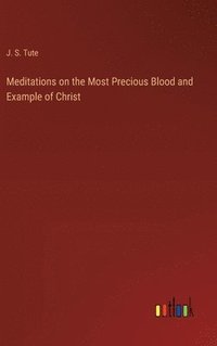 bokomslag Meditations on the Most Precious Blood and Example of Christ