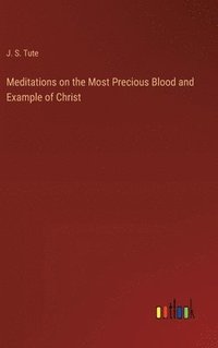 bokomslag Meditations on the Most Precious Blood and Example of Christ