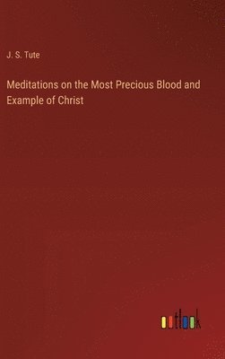 bokomslag Meditations on the Most Precious Blood and Example of Christ