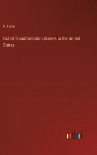 bokomslag Grand Transformation Scenes in the United States