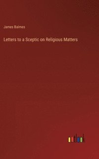 bokomslag Letters to a Sceptic on Religious Matters