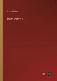 bokomslag Storm Warriors