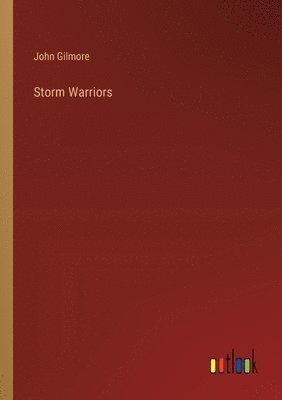 bokomslag Storm Warriors