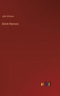bokomslag Storm Warriors