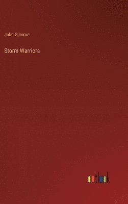 bokomslag Storm Warriors