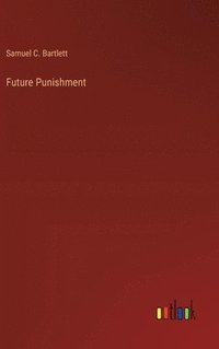 bokomslag Future Punishment