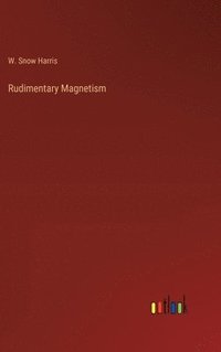 bokomslag Rudimentary Magnetism