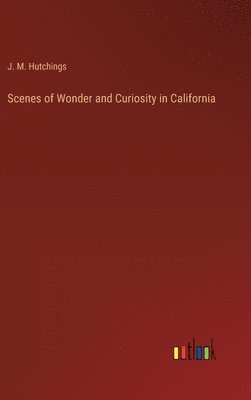 Scenes of Wonder and Curiosity in California 1