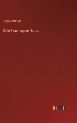 bokomslag Bible Teachings in Nature