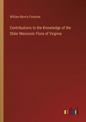 bokomslag Contributions to the Knowledge of the Older Mesozoic Flora of Virginia