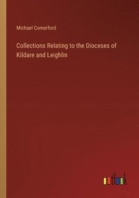 bokomslag Collections Relating to the Dioceses of Kildare and Leighlin