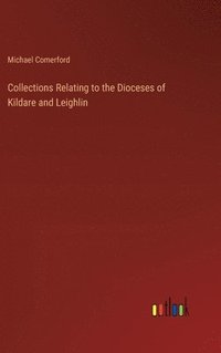bokomslag Collections Relating to the Dioceses of Kildare and Leighlin